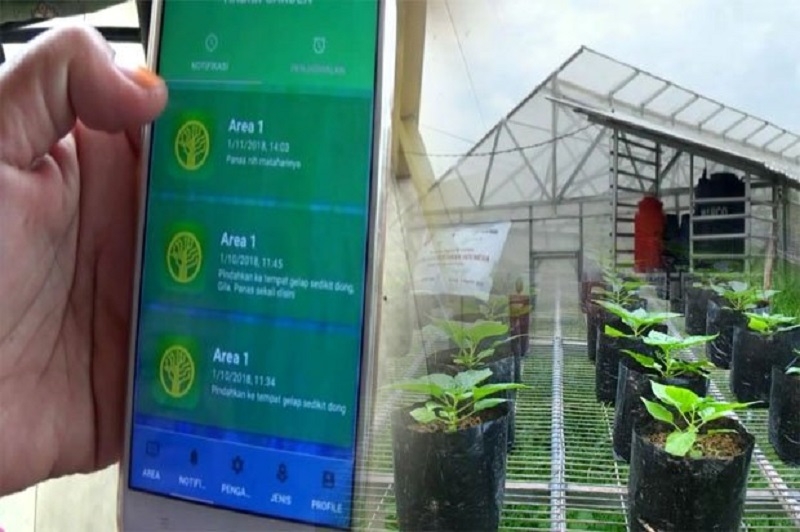 Digitalisasi Sistem Pertanian untuk Mencapai Swasembada Pangan Nasional